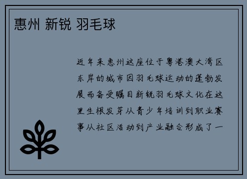 惠州 新锐 羽毛球
