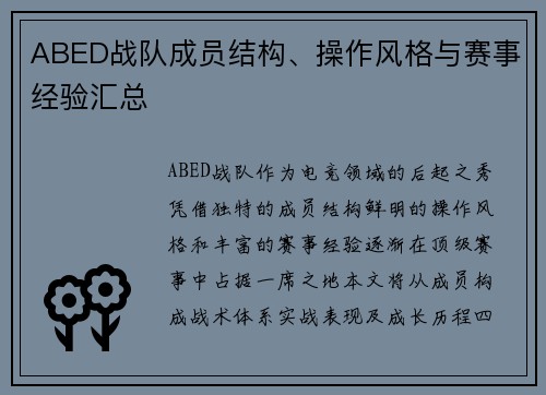 ABED战队成员结构、操作风格与赛事经验汇总